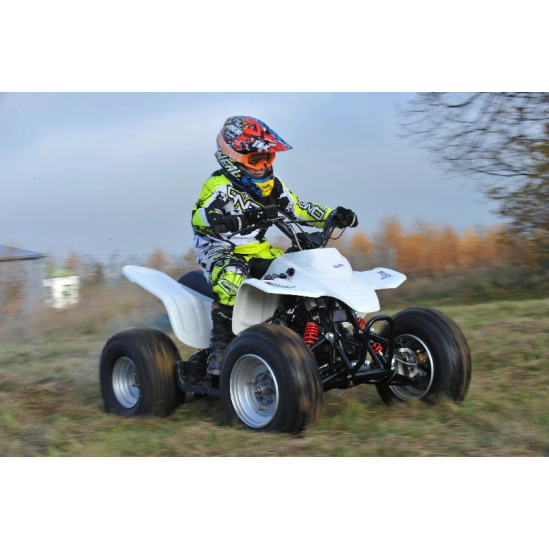 SMC RAM 100                                                                                                                                                                                                                                               