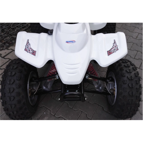 SMC RAM 100                                                                                                                                                                                                                                               